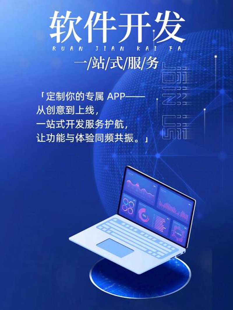 企业软件定制选购指南